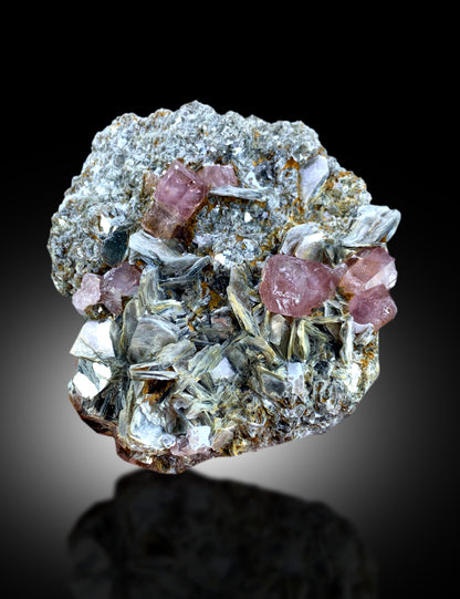 Pink apatite specimen, collector display scale
Natural apatite with mica, close color detail