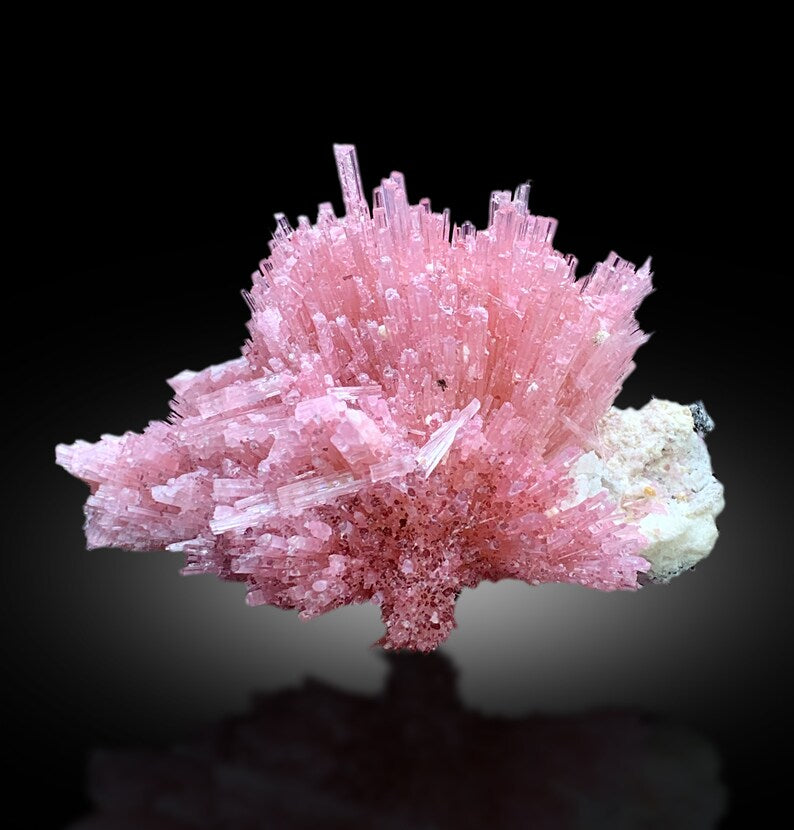 Natural terminated crystals free of chips or damage
Pink tourmaline mineral specimen full length view