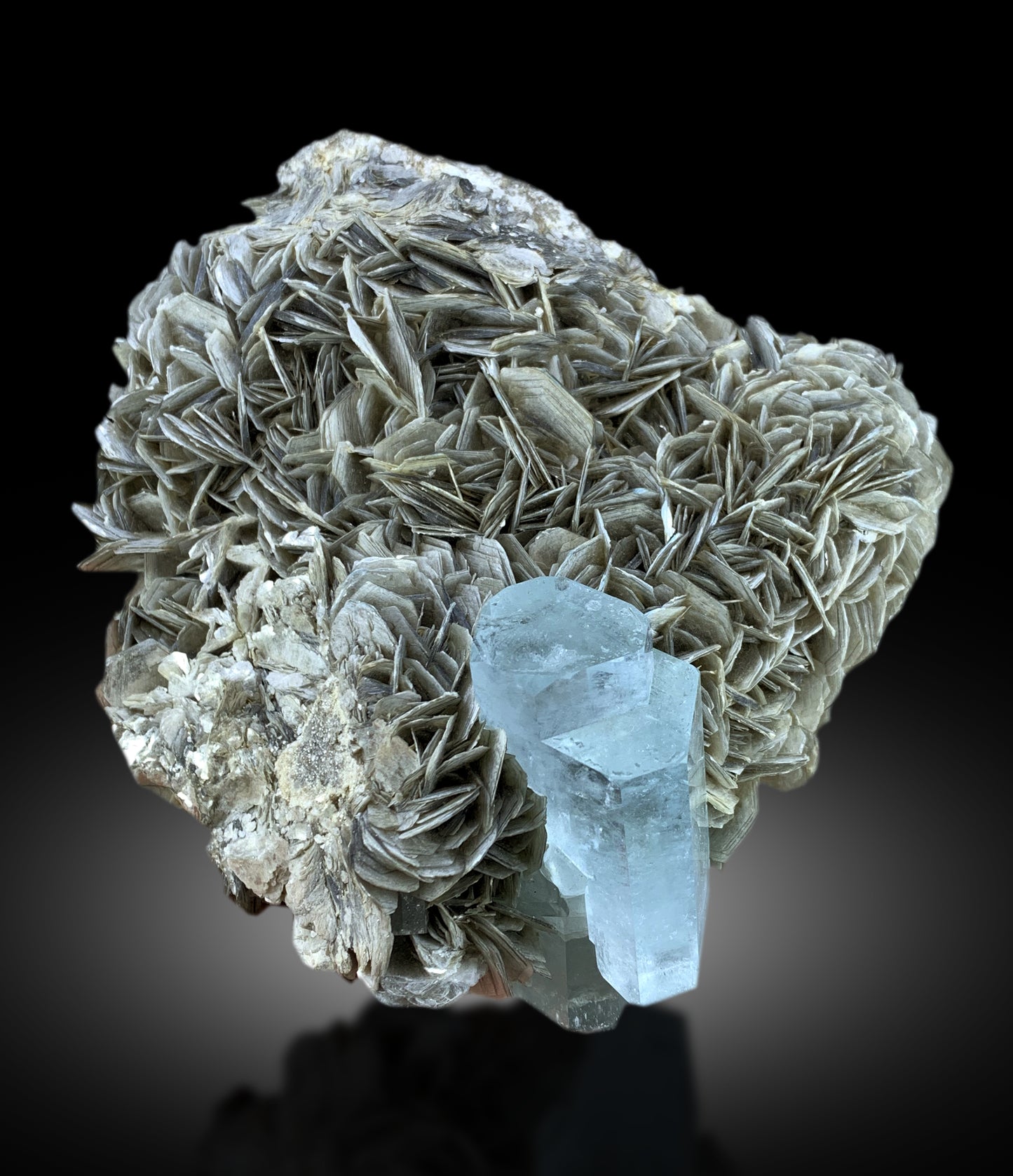 Natural aquamarine crystal showing gem quality clarity
Premium aquamarine display specimen from Gilgit-Baltistan
Aquamarine crystal specimen with natural blue color and transparency