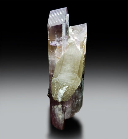 Quartz points and albite beside twin kunzite crystals
Afghanistan kunzite specimen detailed view
Natural untreated bicolor kunzite specimen
