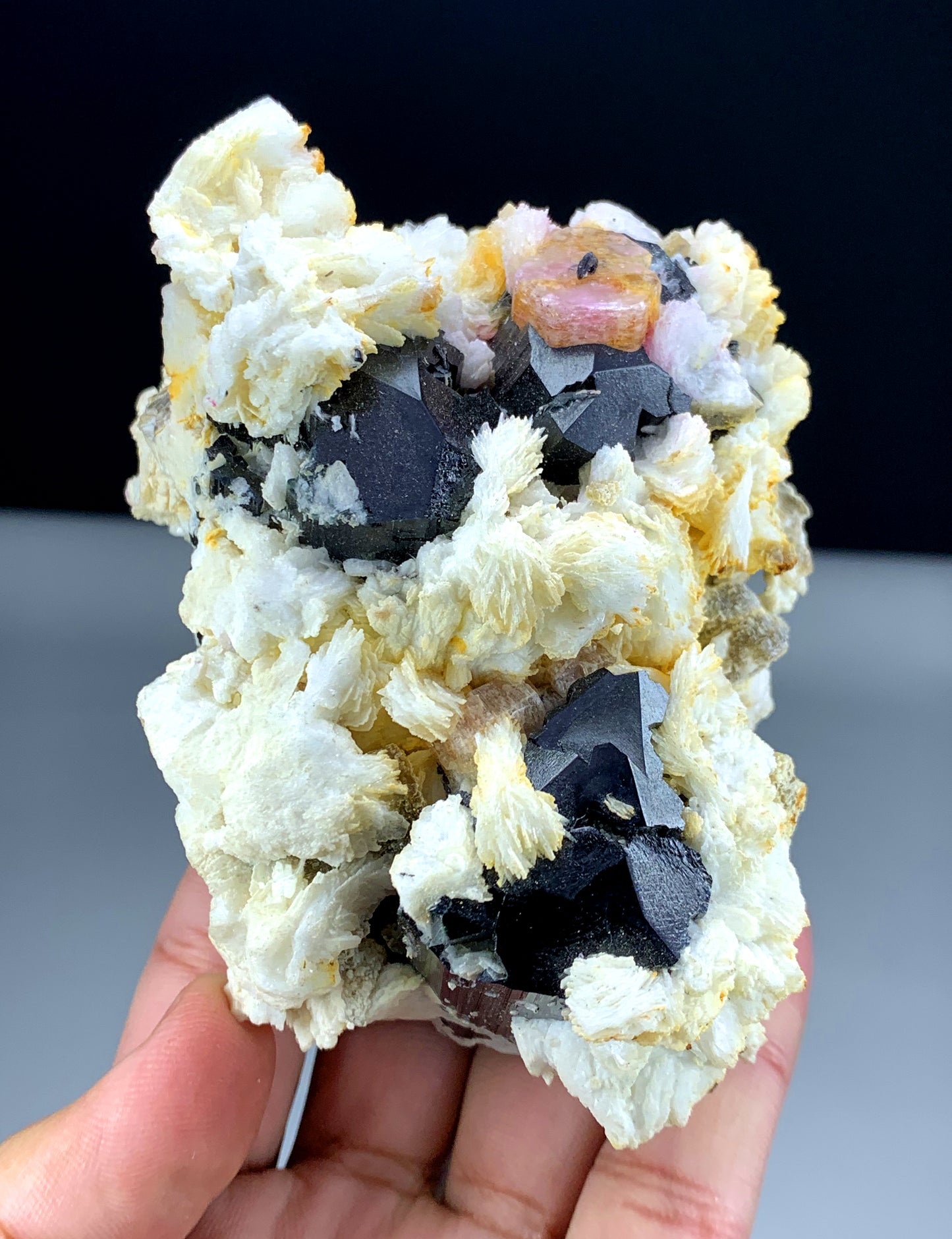 Natural Pink Apatite crystal from Skardu
Rare Tantalite crystal on Apatite