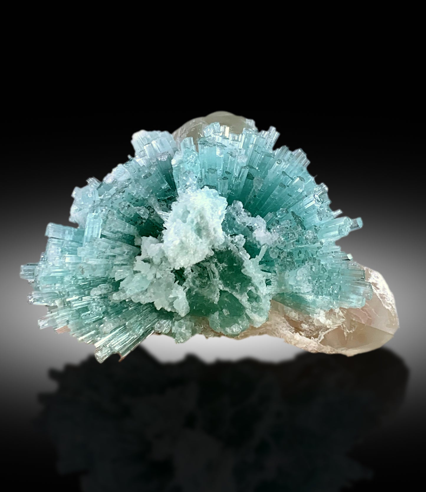 Display quality Tourmaline crystal cluster
Rare blue green Tourmaline specimen