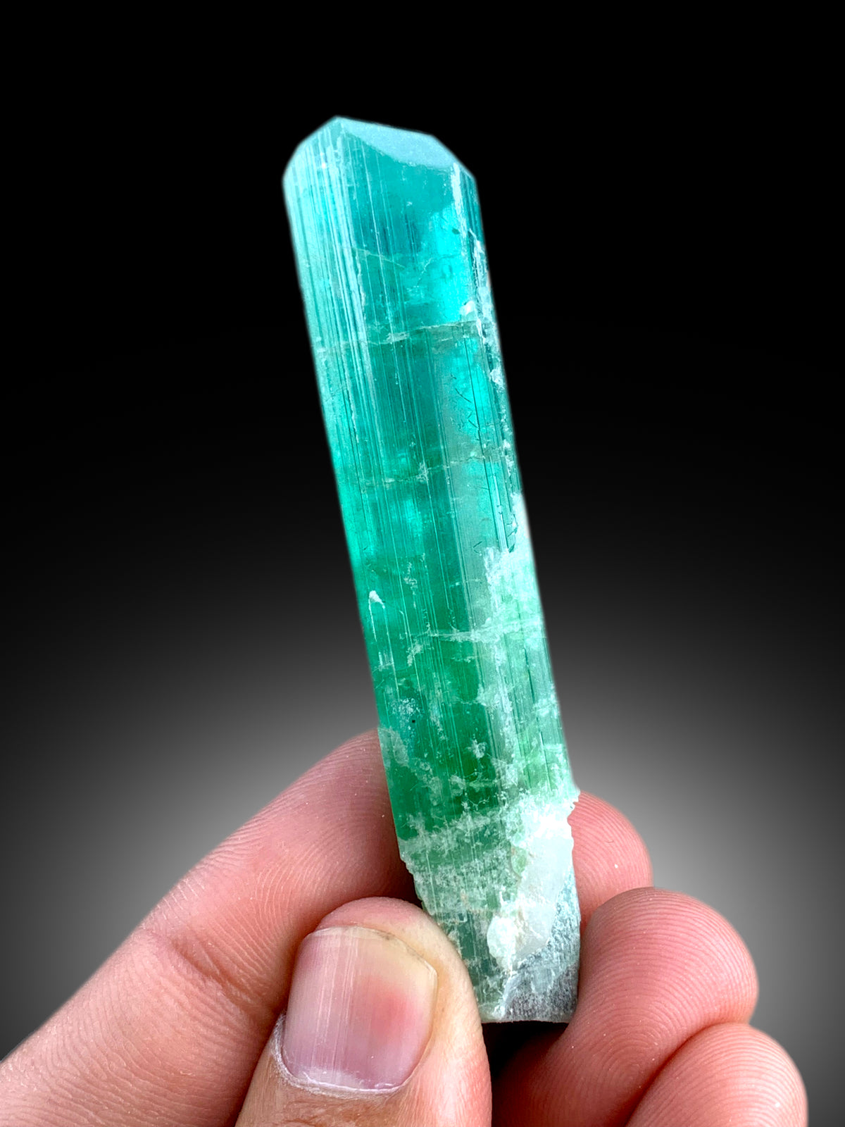 Rare blue tourmaline crystal, angled display view
Neon blue tourmaline, back view
Natural tourmaline crystal, collector display scale