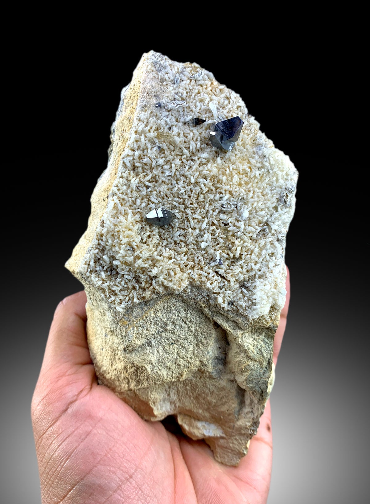 Natural color detail on anatase crystal
Raw anatase crystal cluster on matrix base
Collector grade anatase specimen from Pakistan
Anatase crystal lighting and luster detail
Natural terminated crystals free of chips or damage
Rare anatase mineral specimen full length view
650 gram anatase crystal complete profile