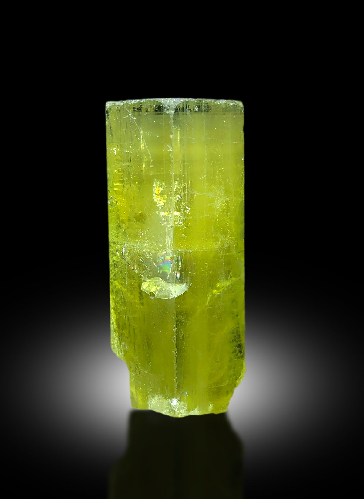 Raw heliodor mineral crystal from Skardu, Pakistan
Untreated yellow heliodor crystal, collector specimen