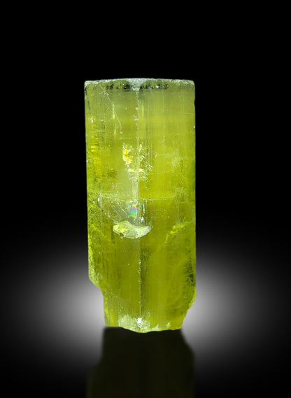Raw heliodor mineral crystal from Skardu, Pakistan
Untreated yellow heliodor crystal, collector specimen
