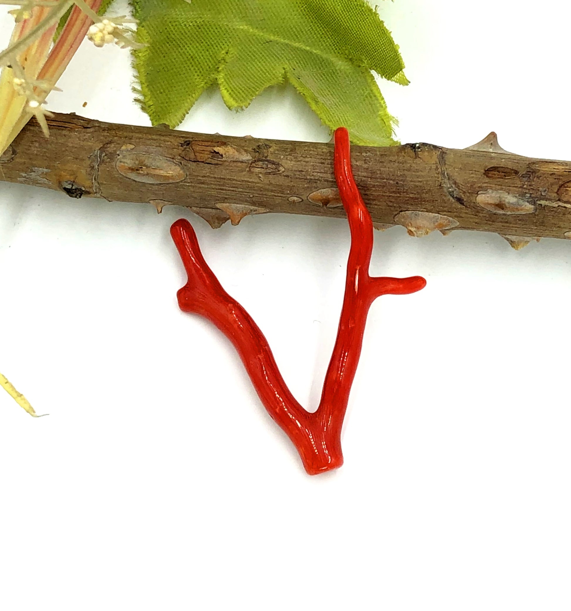 Natural Corallium rubrum branch gemstone for sale
Red coral healing gemstone natural Mediterranean