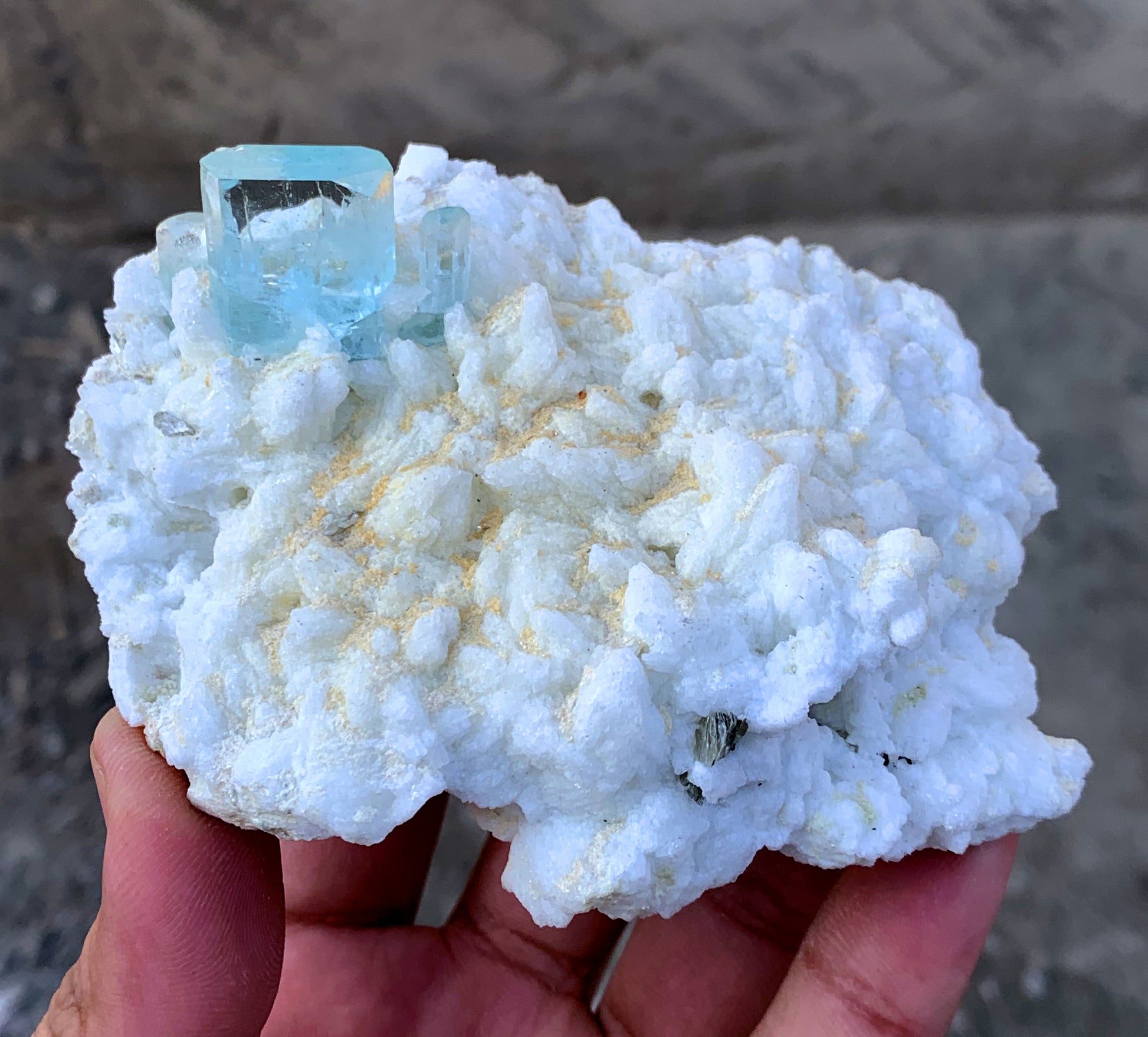 Single aquamarine crystal termination close-up undamaged
Aquamarine on feldspar self-standing position side profile