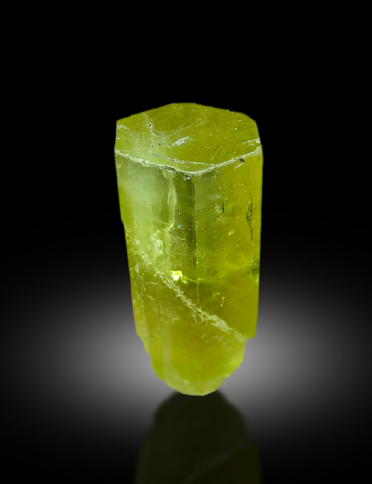 Small heliodor crystal specimen, 32 gram, Pakistan
Natural yellow heliodor crystal, full length view