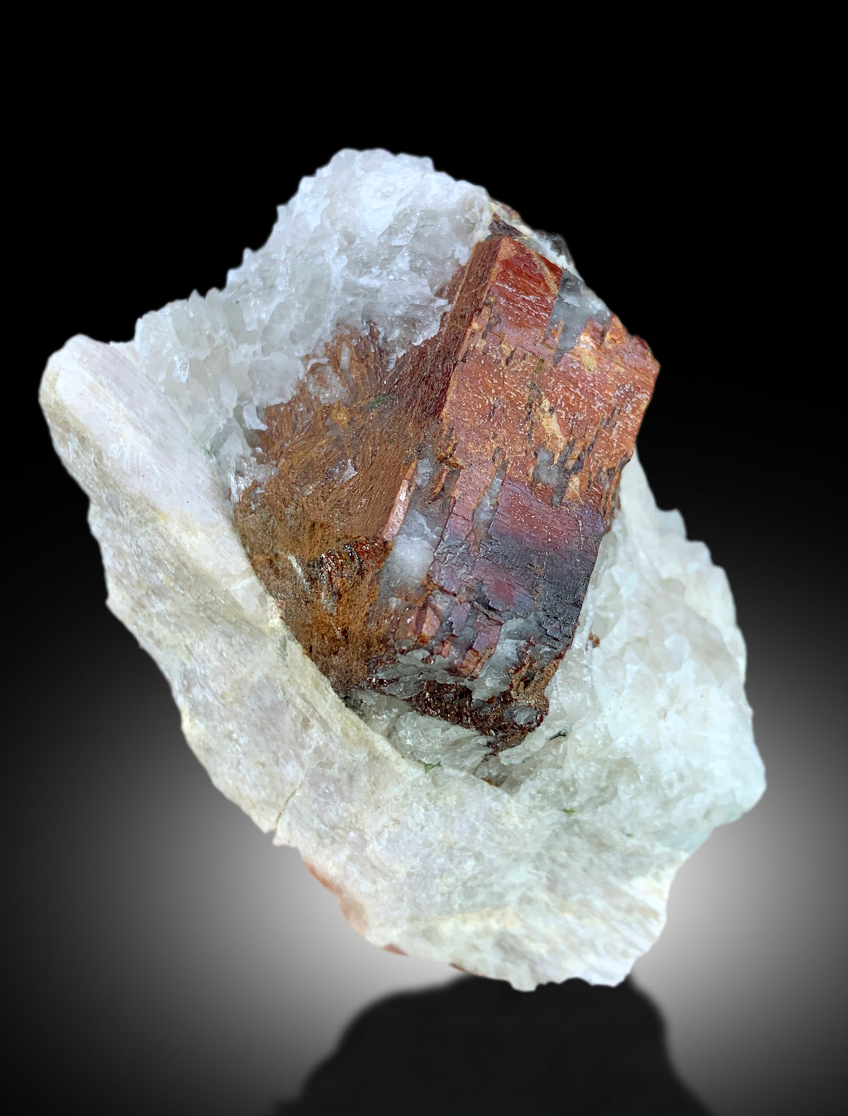 Tantalite mineral specimen, damage free crystal
Red tantalite on matrix, 88x59x57mm, full view