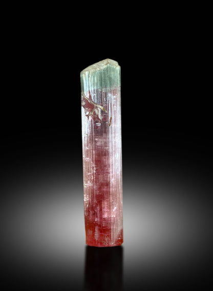Collector grade Tourmaline specimen
Terminated Tourmaline crystal from Afghanistan