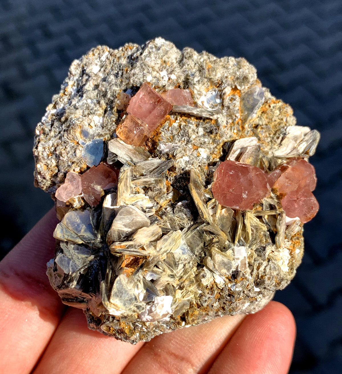 Terminated pink apatite, full profile
Apatite crystal from Pakistan, top view
Natural pink apatite specimen, display angle
Apatite with mica, front view
Pink apatite crystal specimen, full view
Natural apatite from Skardu, angled view