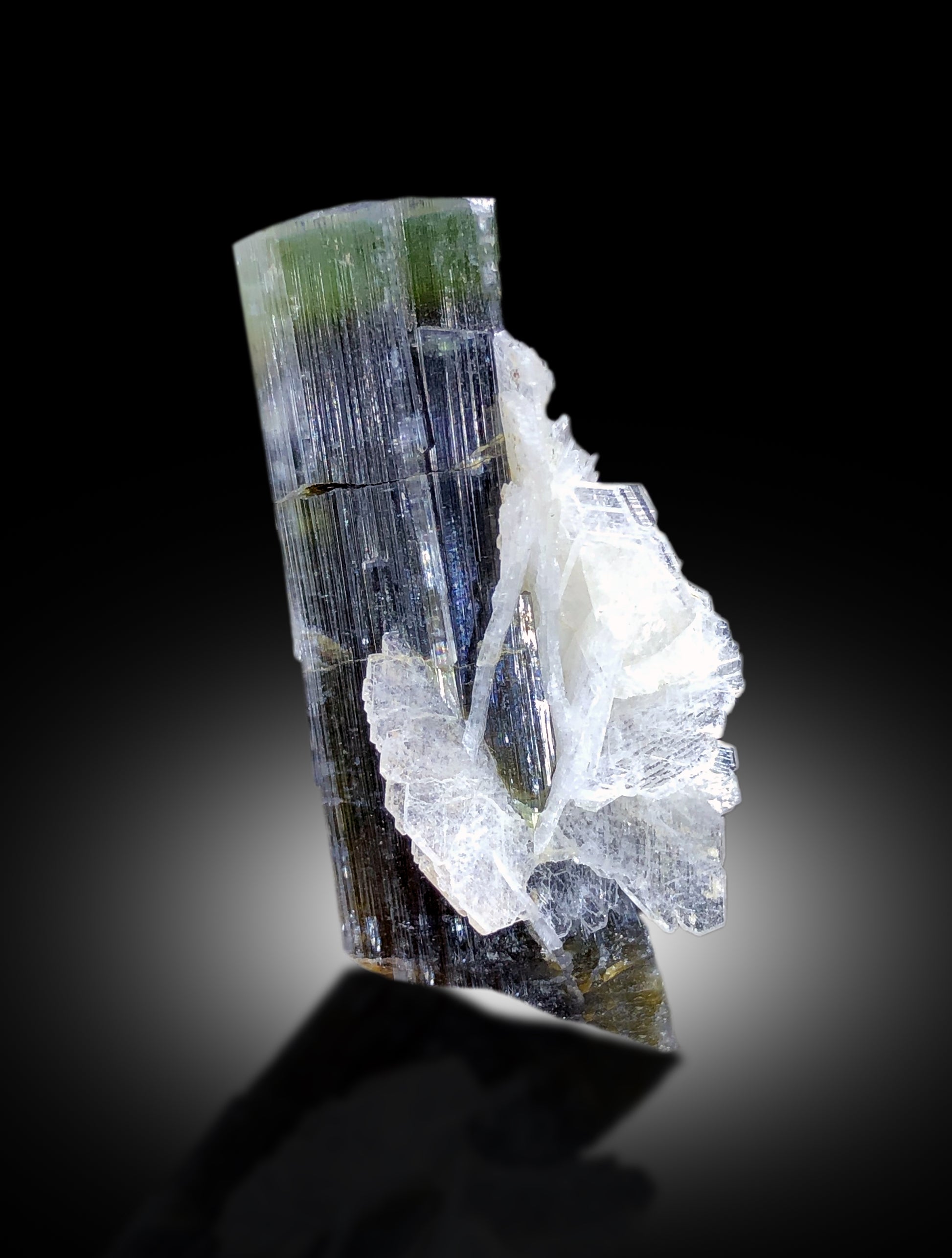 Terminated point of natural elongated tourmaline
Full profile of prismatic tourmaline on cleavelandite