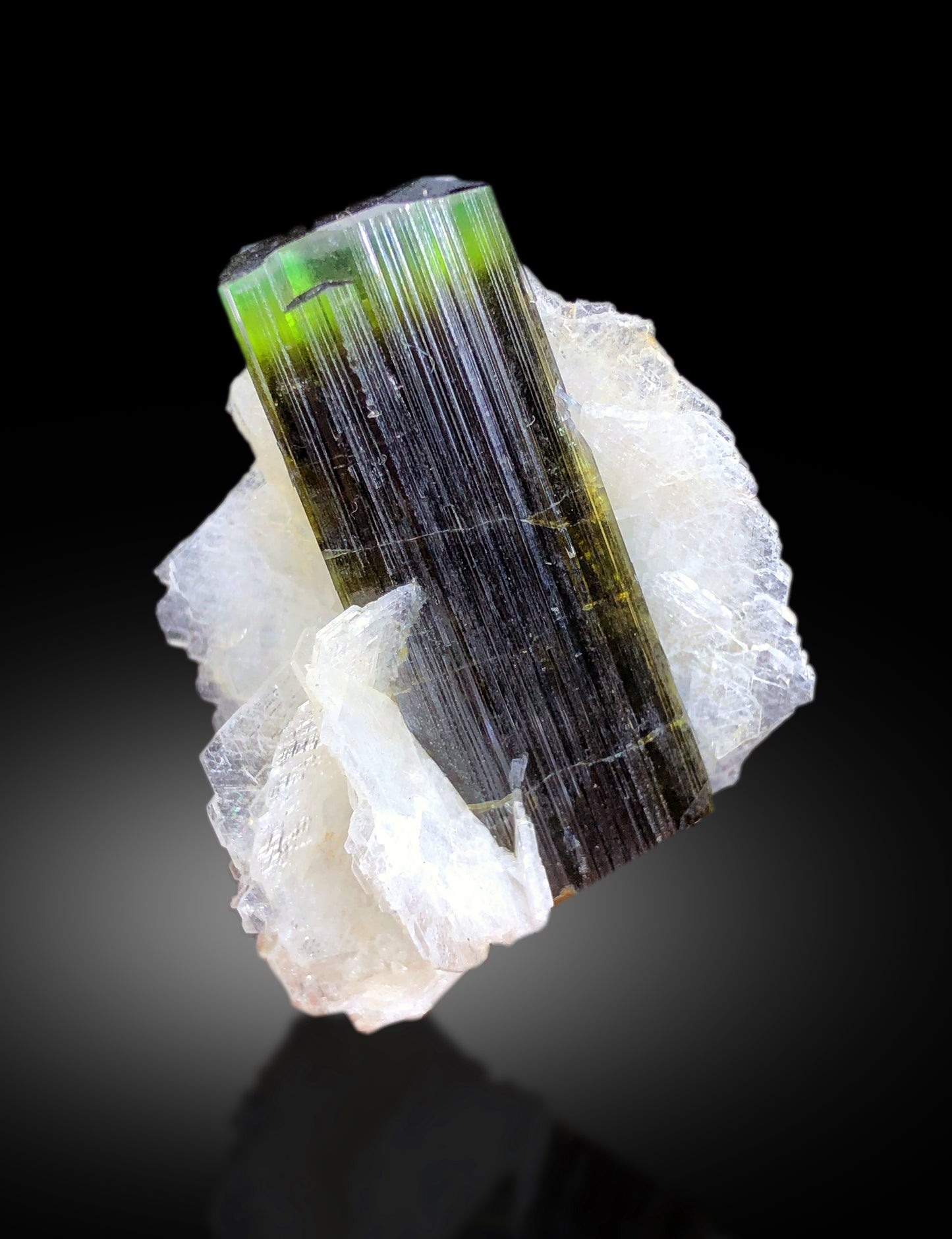 Terminated point of natural green cap tourmaline
Full profile of tourmaline on cleavelandite matrix