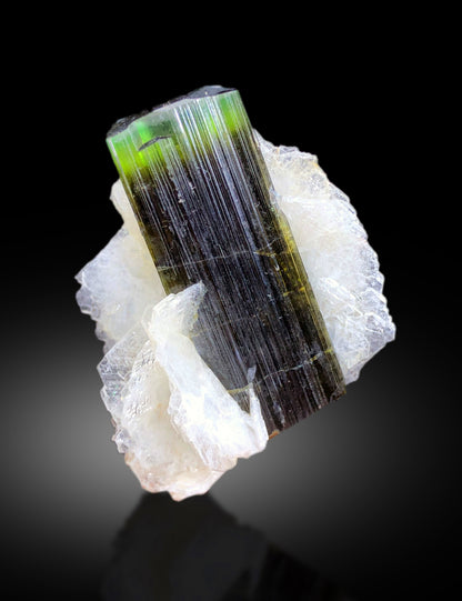 Terminated point of natural green cap tourmaline
Full profile of tourmaline on cleavelandite matrix