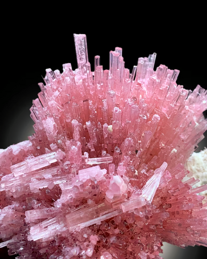 Terminated points across natural tourmaline cluster
Full profile of pink tourmaline on matrix specimen
