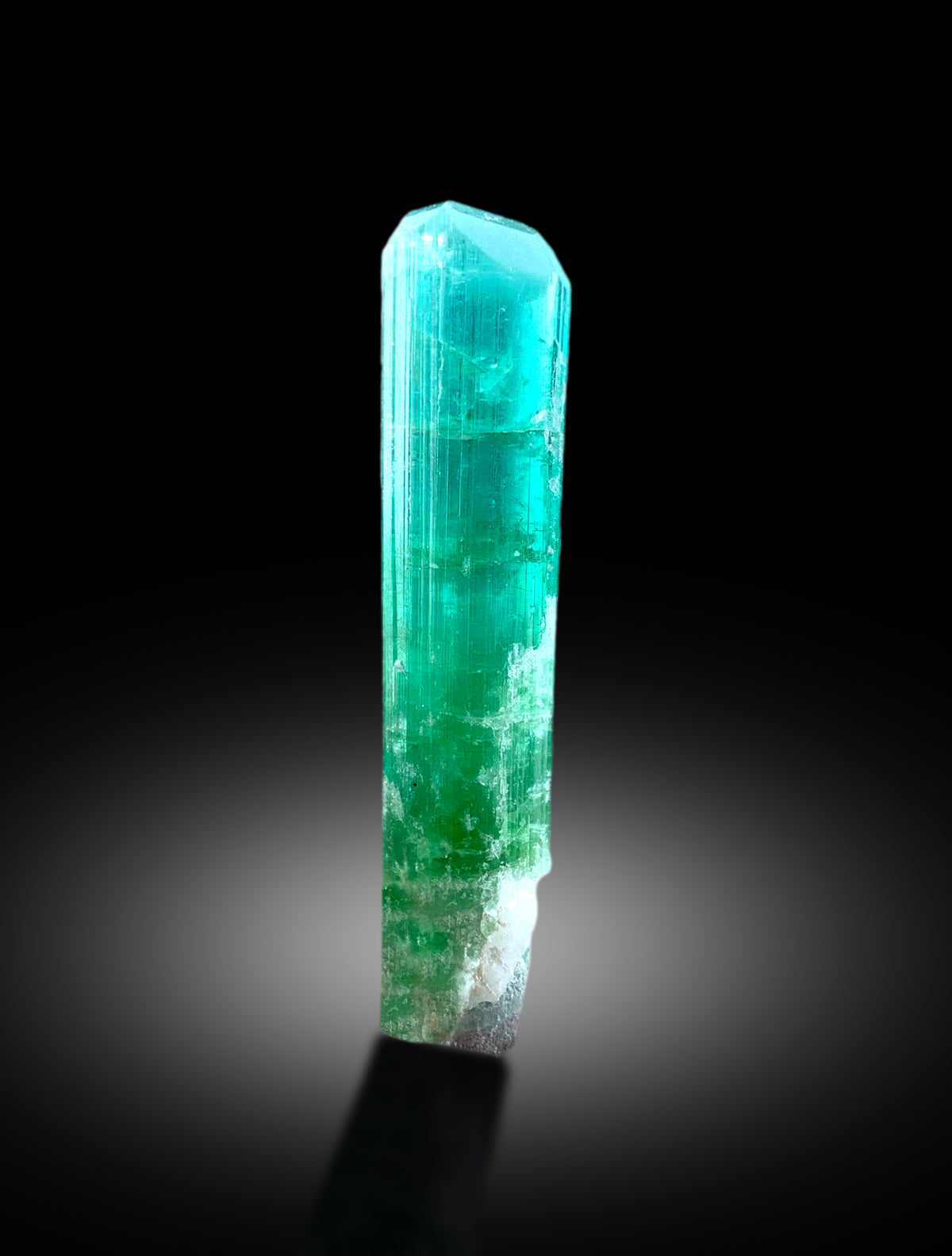 Terminated tourmaline specimen, macro color detail
Natural elbaite tourmaline crystal, full profile