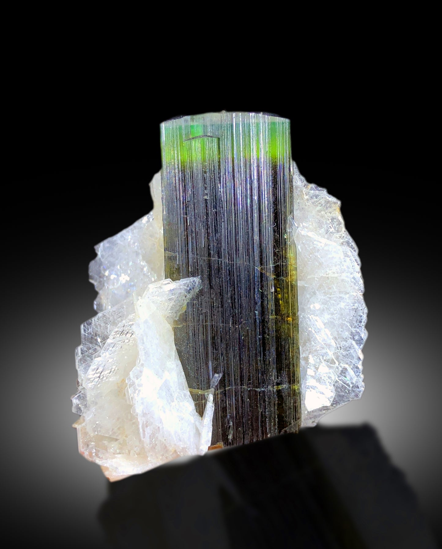 Top view of 13 gram tourmaline specimen
Green cap tourmaline crystal with scale reference