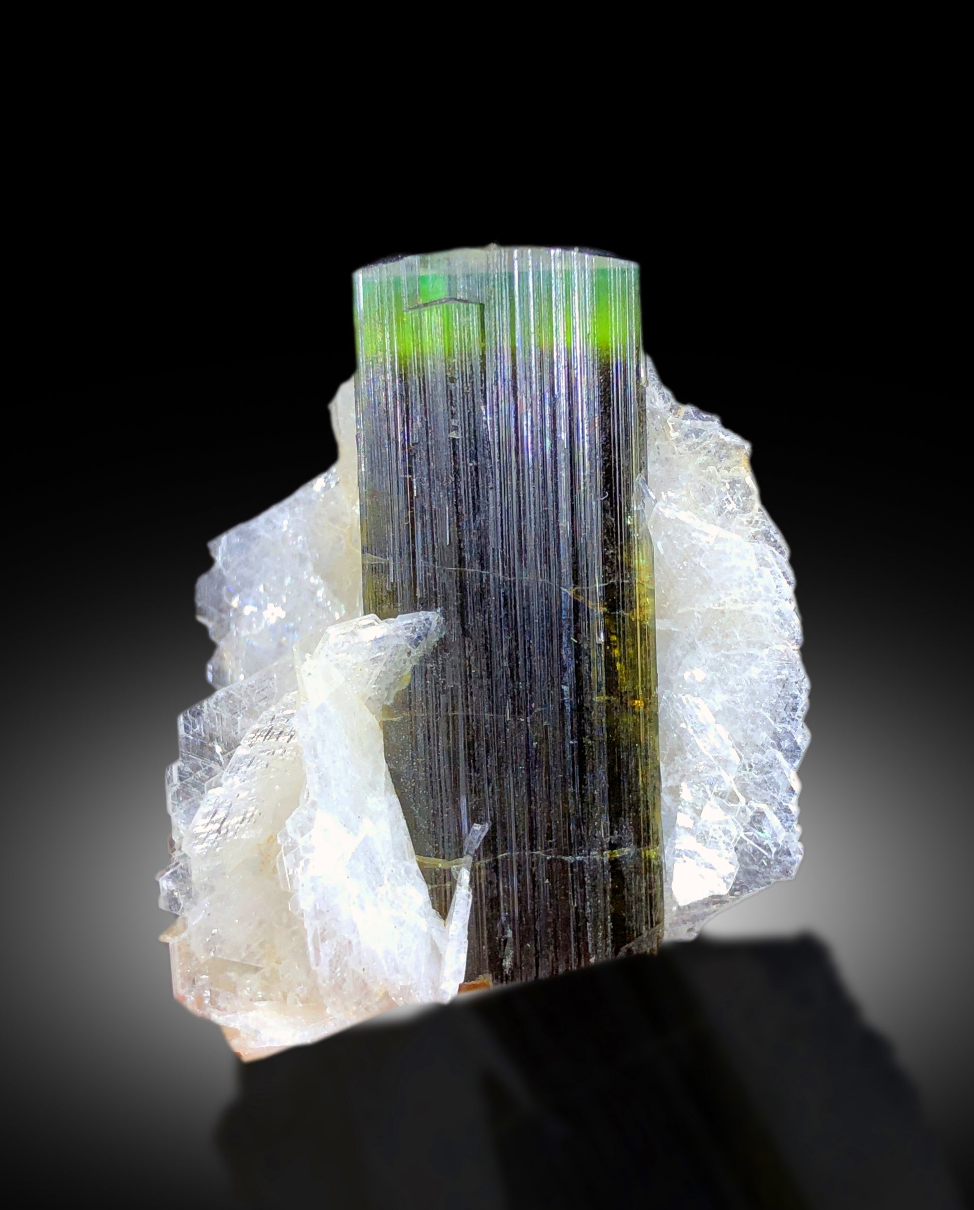 Top view of 13 gram tourmaline specimen
Green cap tourmaline crystal with scale reference
