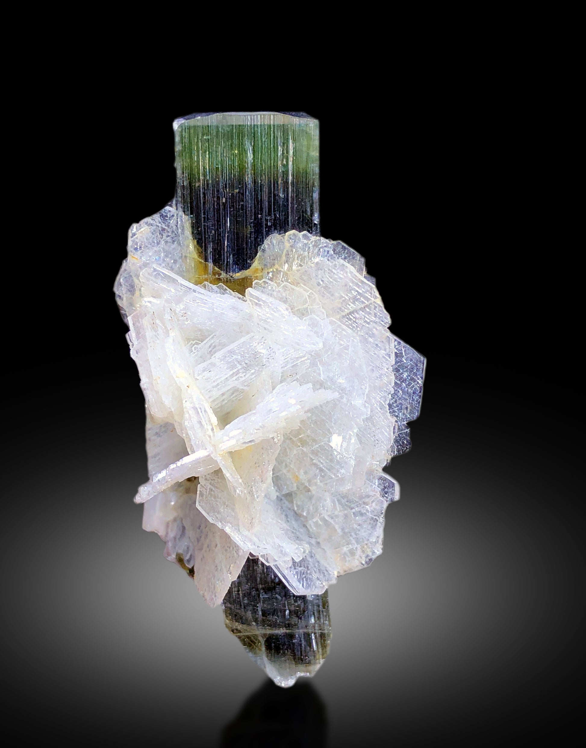 Top view of 14 gram tourmaline specimen
Green cap tourmaline crystal with scale reference