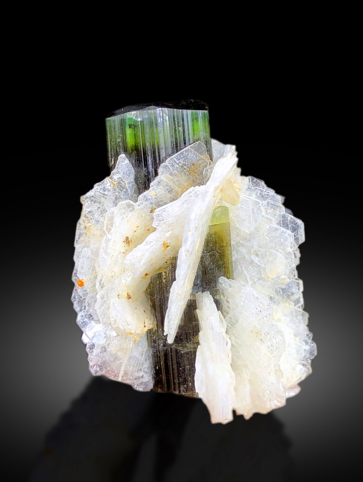 Tourmaline crystal faces showing green cap color
Astak Nala Skardu tourmaline undamaged crystal
Natural untreated green cap tourmaline specimen