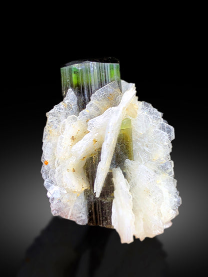 Tourmaline crystal faces showing green cap color
Astak Nala Skardu tourmaline undamaged crystal
Natural untreated green cap tourmaline specimen