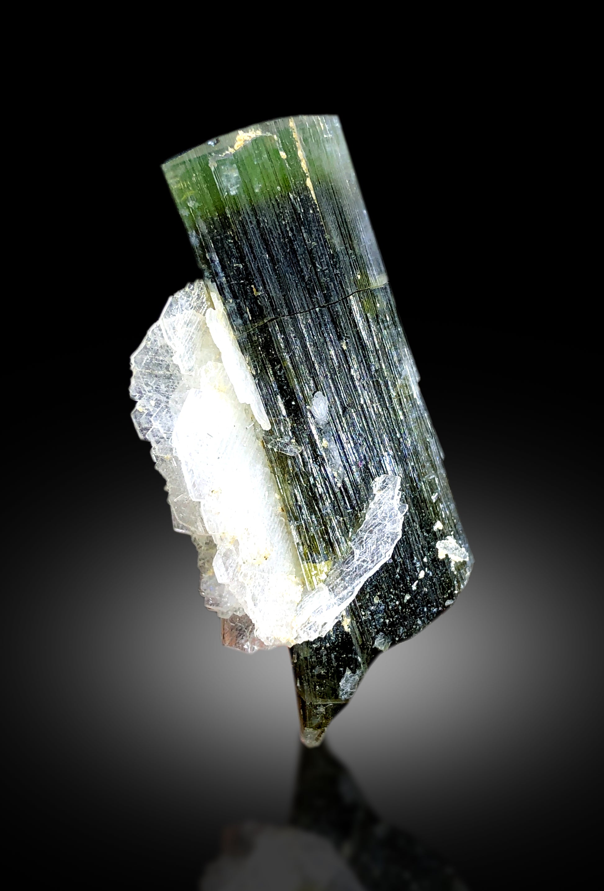 Tourmaline crystal faces showing green cap zoning
Astak Nala Skardu elongated tourmaline crystal
Natural untreated green cap tourmaline specimen