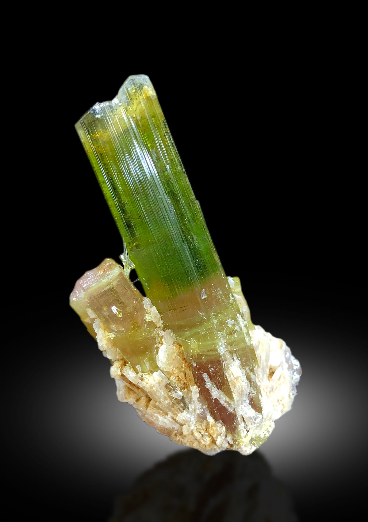 Tourmaline crystal lighting and color zoning detail
Natural terminated crystal free of chips or damage