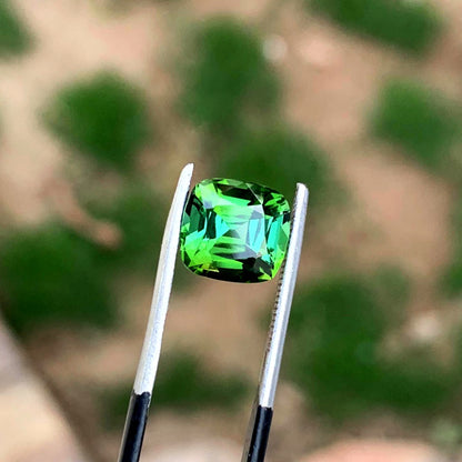 Untreated natural bi-color tourmaline eye clean clarity
Afghan elbaite tourmaline collector gemstone