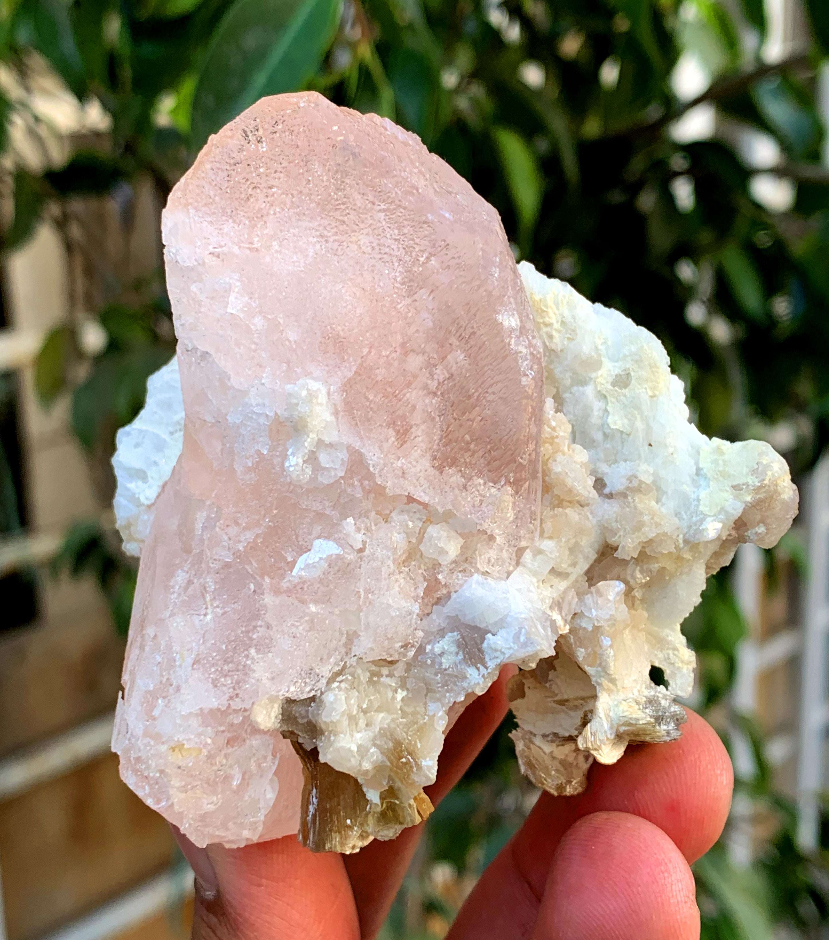 Natural Pink Morganite with White Albite from Afghanistan - 244 grams