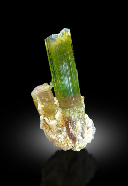 Watermelon tourmaline crystal with scale reference
Terminated point of natural watermelon tourmaline