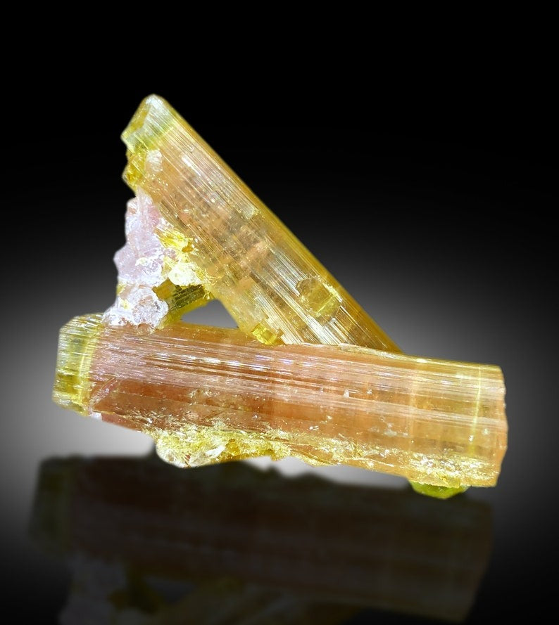 Watermelon tourmaline pink and green color zone close-up
Paprok Afghanistan watermelon tourmaline collector specimen
DT watermelon tourmaline lepido