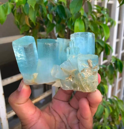 Deposit for 04 Aquamarine Specimens