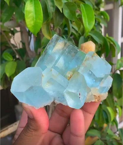 Deposit for 04 Aquamarine Specimens