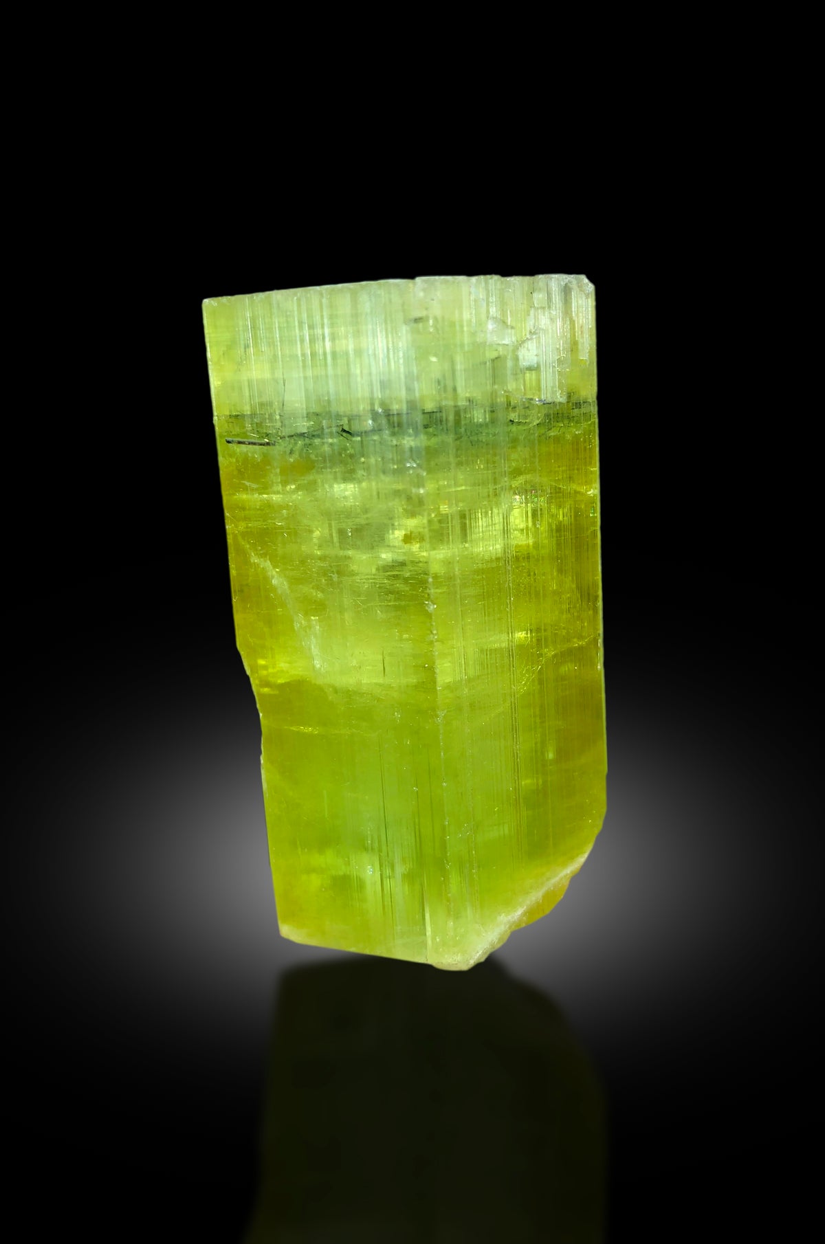 Natural terminated crystal free of chips or damage
Yellow beryl mineral specimen full length view