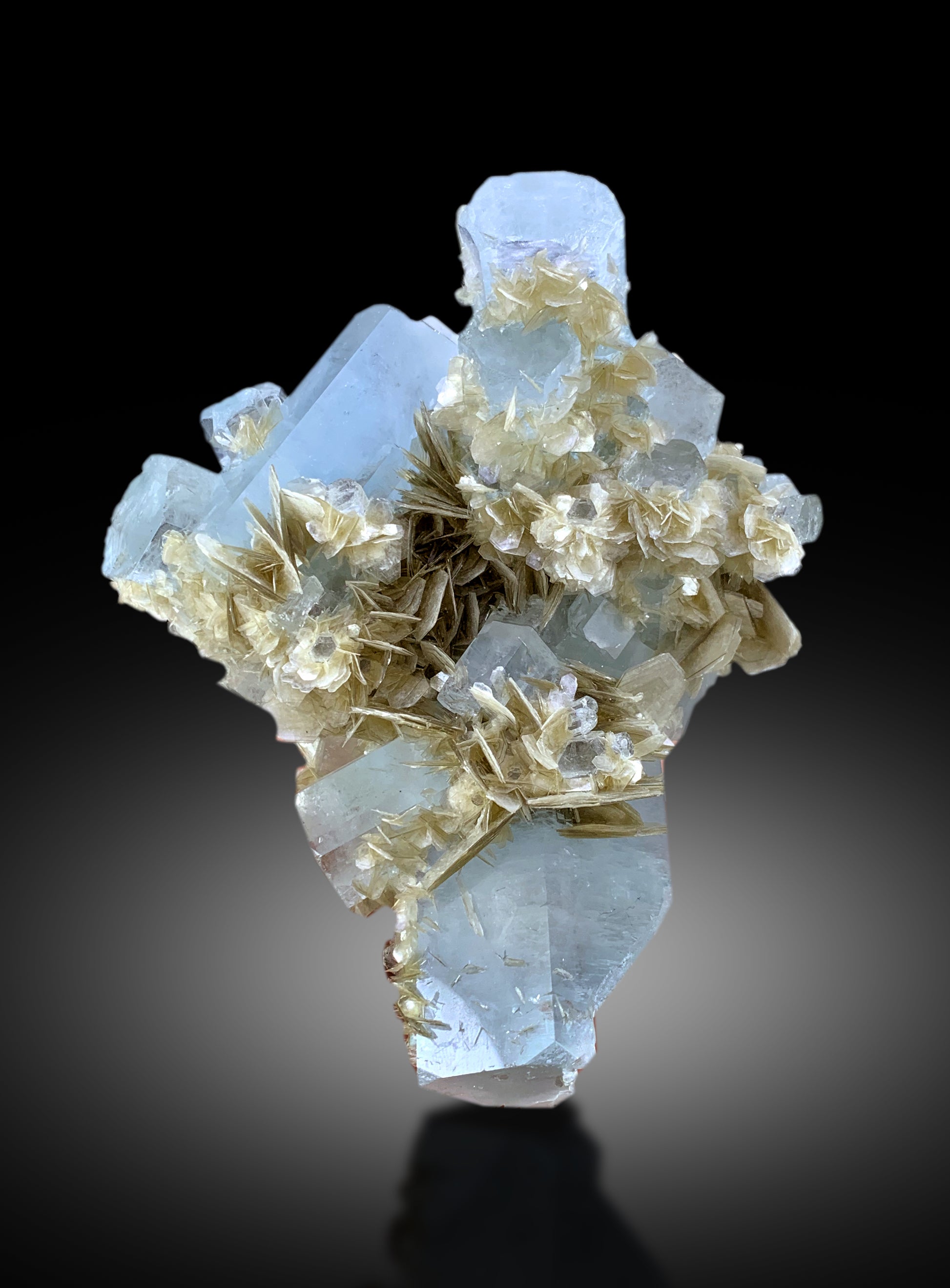 large display aquamarine specimen
cabinet size aquamarine crystal cluster
fine aquamarine specimen with mica matrix
