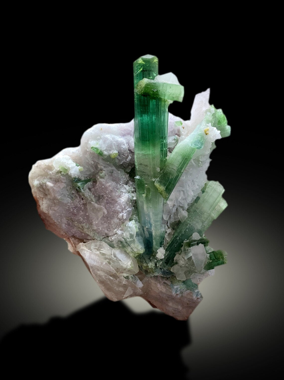 blue green tourmaline crystal with kunzite specimen
tourmaline and microlite mineral specimen Afghanistan
blue green tourmaline on matrix with lepidolite