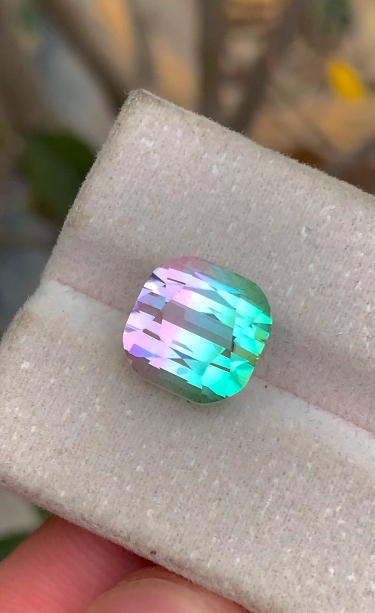 Presenting 8CT Exquisite Watermelon Tourmaline, Premium Bi-Color Tourmaline