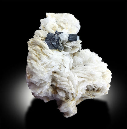 raw cassiterite crystal natural luster
cassiterite on albite matrix close view