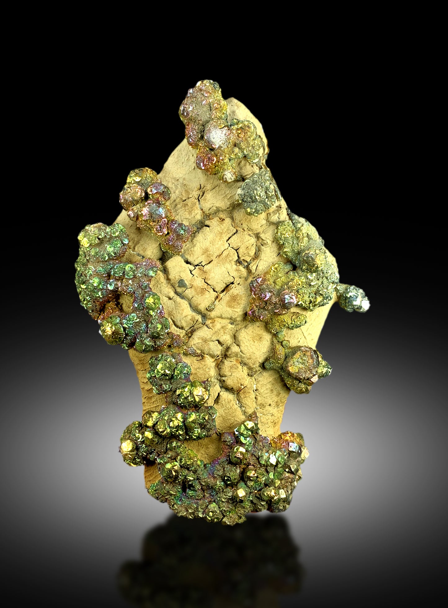 collector grade rainbow pyrite mineral
untreated pyrite specimen on matrix
natural metallic pyrite formation
