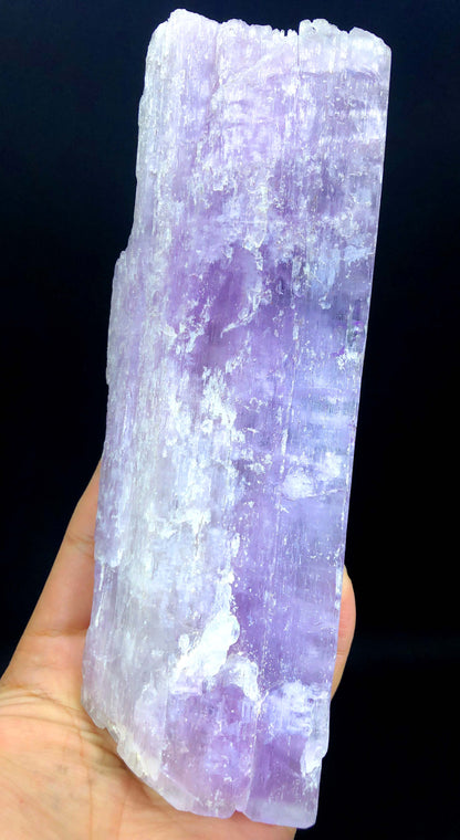 collector mineral kunzite specimen
pink spodumene crystal formation