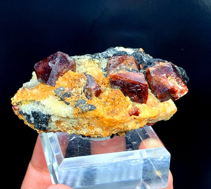 natural zircon cluster with strong crystal luster
collector mineral specimen with red zircon crystals
aesthetic zircon crystal arrangement on matrix
detailed view of natural red zircon specimen