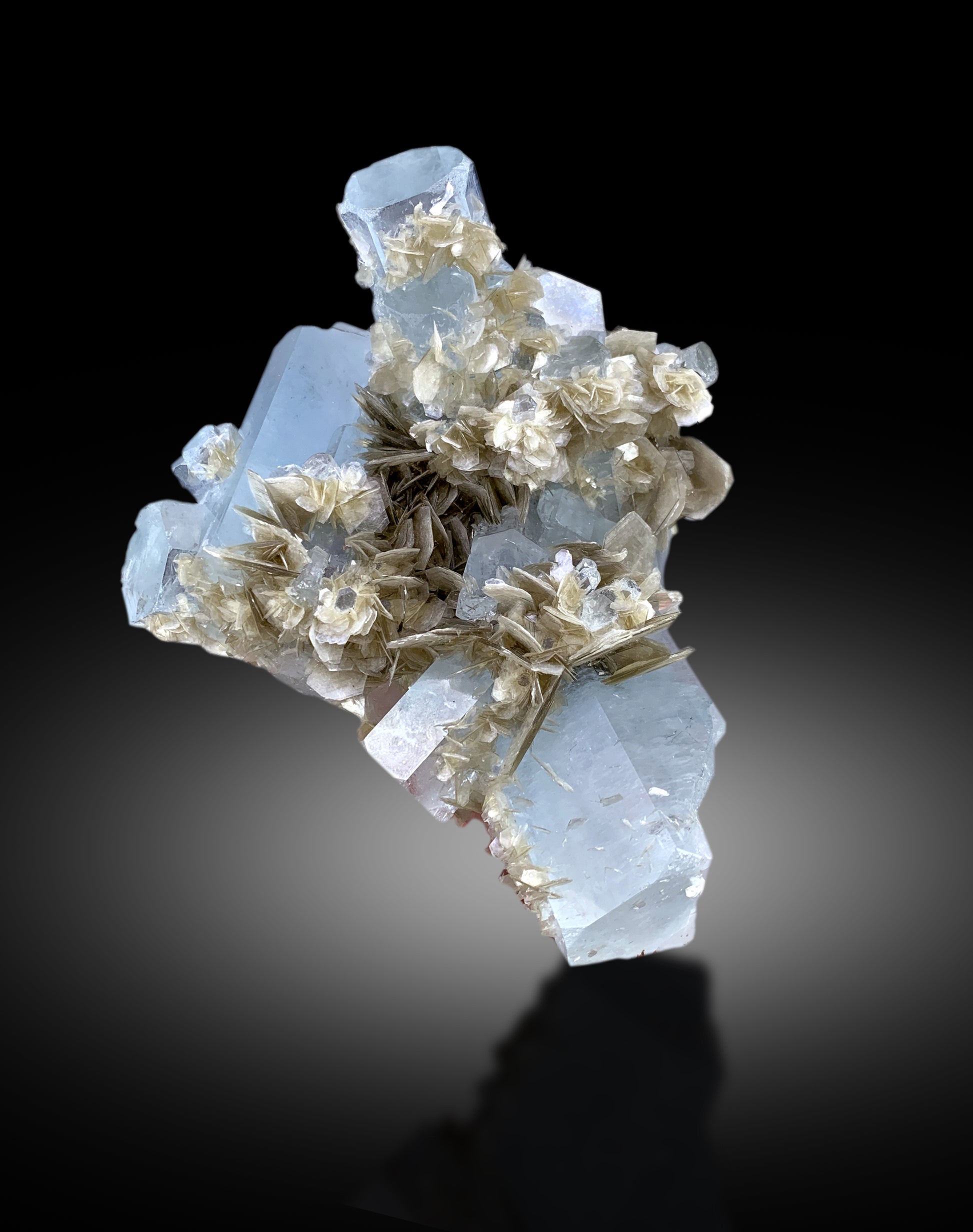 natural blue beryl crystal specimen
rare aquamarine mineral specimen Pakistan
transparent aquamarine crystals on matrix