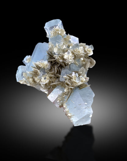 natural blue beryl crystal specimen
rare aquamarine mineral specimen Pakistan
transparent aquamarine crystals on matrix