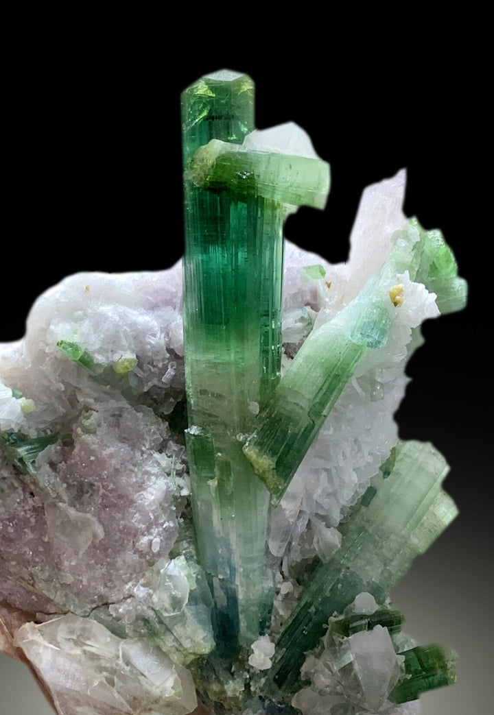 Blue Green Tourmaline Crystals with Kunzite, Microlite and Lepidolite on Matrix Mineral Specimen from Dara e Pech Afghanistan - 445 gram