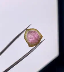 Watermelon Tourmaline Slice from Afghanistan - 7.75 Carats