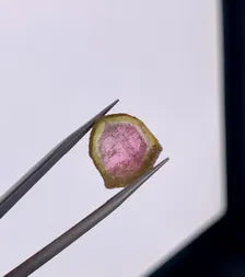 Watermelon Tourmaline Slice from Afghanistan - 7.75 Carats