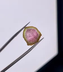 Watermelon Tourmaline Slice from Afghanistan - 7.75 Carats