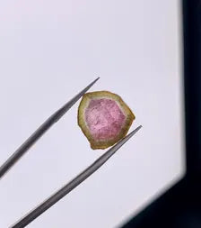 Watermelon Tourmaline Slice from Afghanistan - 7.75 Carats