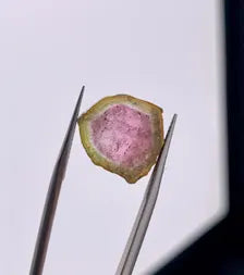 Watermelon Tourmaline Slice from Afghanistan - 7.75 Carats